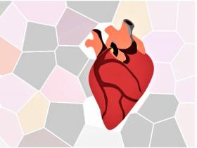 Cartografía para orientar la salud cardiovascular