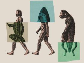 ¿Tienes un rastro vestigial de origen evolutivo?