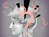 ¿Cómo repercute el estrés inflamatorio en la salud cognitiva?