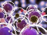 Las distintas caras de la influenza
