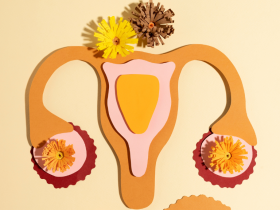 SOP, SOMP, síndrome de ovario poliquístico, síndrome ovárico metabólico poliendocrino, cambio de nombre SOP, nuevo nombre síndrome ovario poliquístico, diagnóstico SOP, resistencia a la insulina, desequilibrio hormonal, folículos ováricos, disfunción ovulatoria, andrógenos, salud hormonal femenina, salud metabólica, diabetes tipo 2, enfermedades cardiovasculares, hipertensión, SOP delgado, fertilidad femenina, estigma diagnóstico, atención multidisciplinaria, clasificación internacional de enfermedades, CIE, Organización Mundial de la Salud, OMS, consenso global SOP, guías clínicas 2028, trastorno endocrino, salud reproductiva, ecografía ovárica, mujeres con SOP