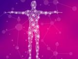 atlas hormonal, investigación, avances científicos