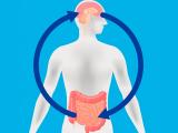 roma v, gastroenterología, trastornos intestino cerebro